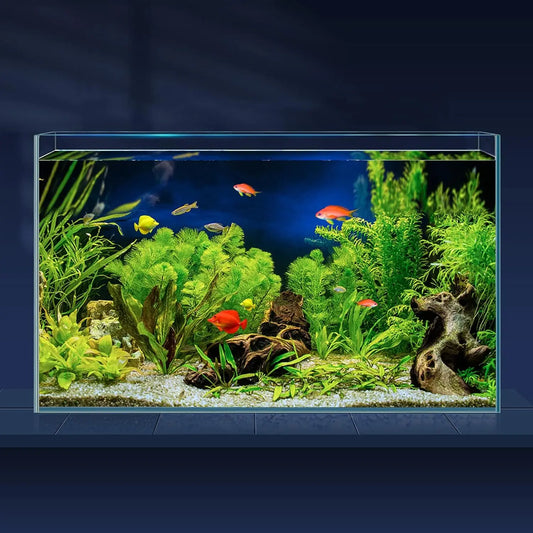 Rimless Glass Aquarium with Cover, Feeding Ring & Cleaning Tools