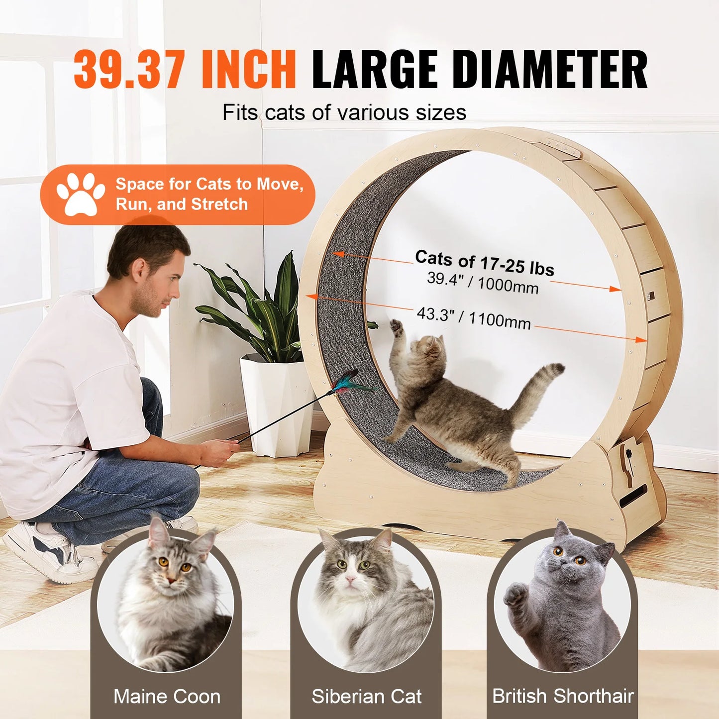Spin ’n’ Zoom Wooden Cat Wheel | Indoor Kitty Treadmill Fun!