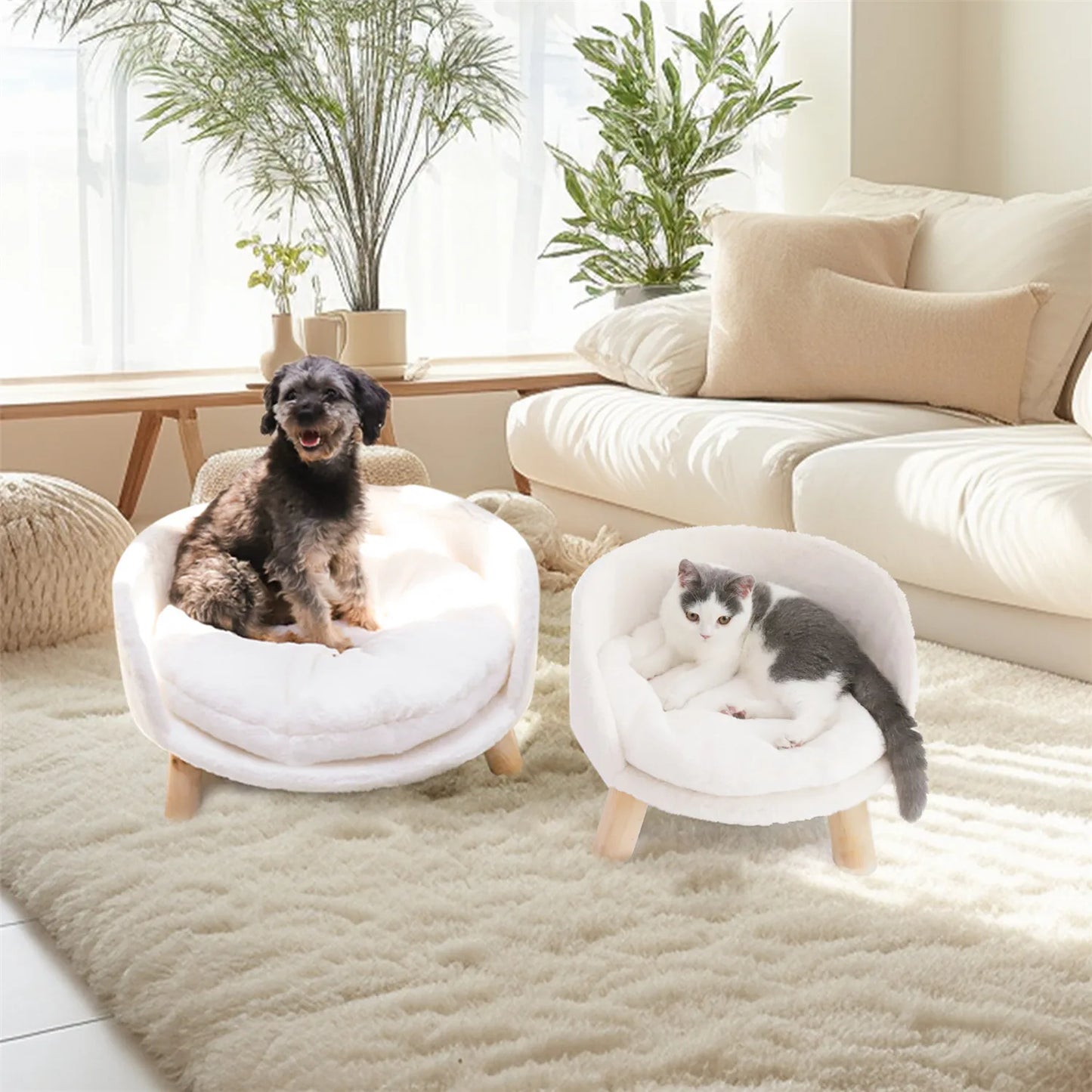 Pet Sofa Bed, Couch Bed.