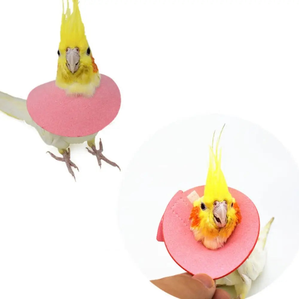 Adjustable Bird Accessories Anti-bite Anti-peckin Bird Cloak Parrot Elizabethan Circle Bird Neck Sleeve Bird Recovery Collar